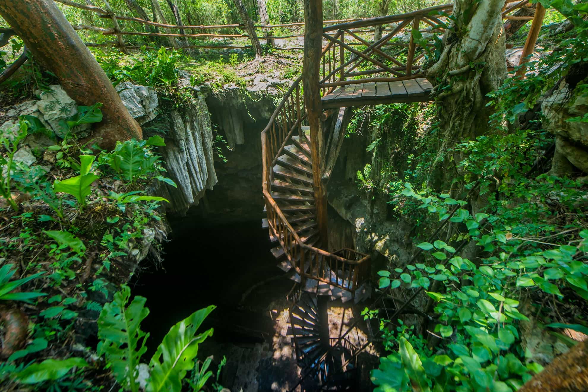 7 cenotes