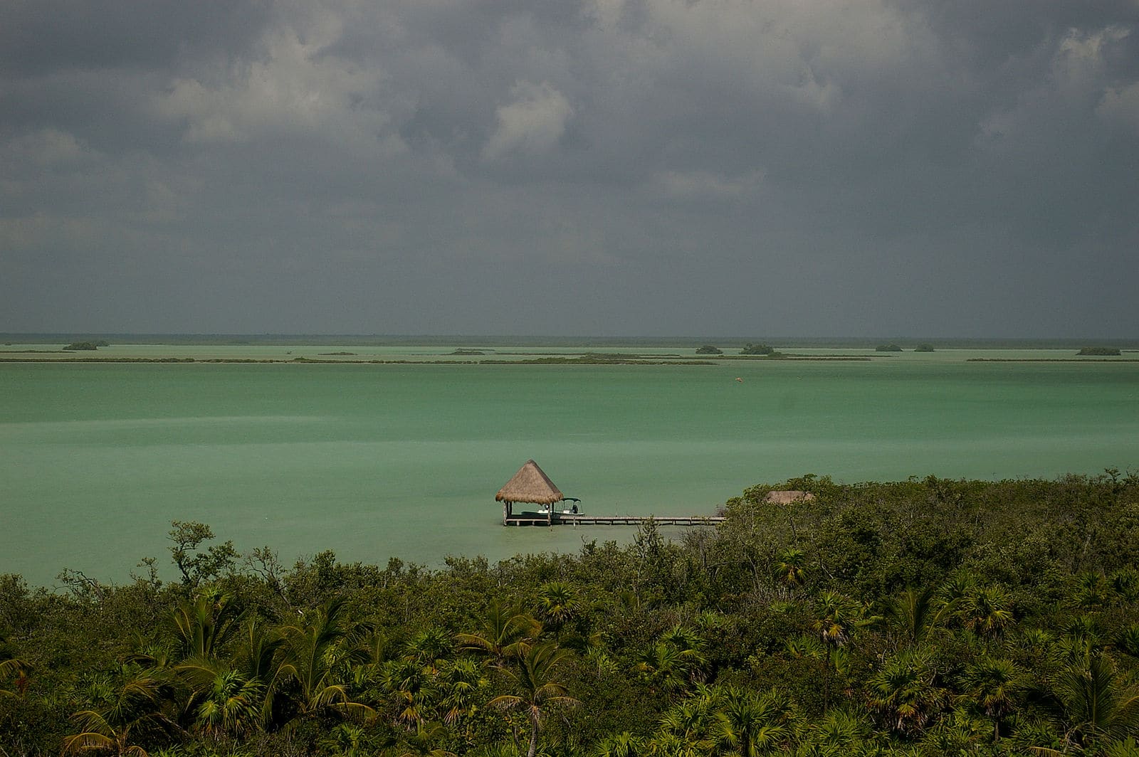 Punta allen