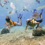 Snorkeling tulum charters