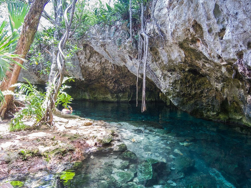 Cristal and Escondido Cenotes
