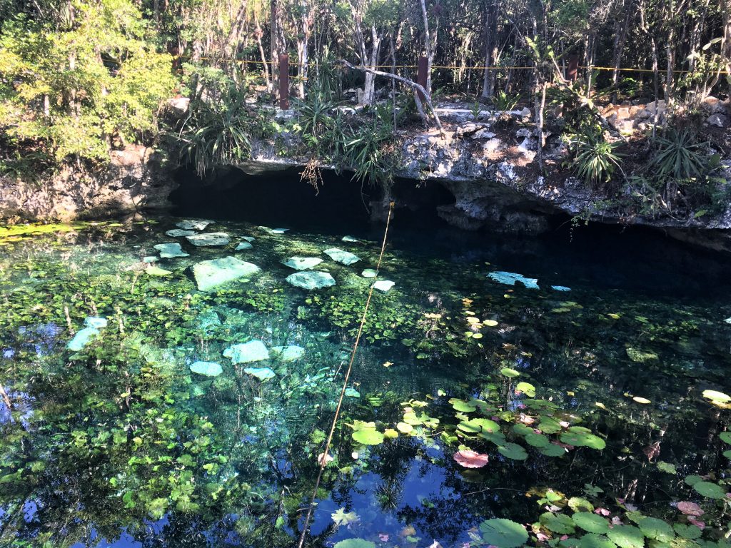 Nicte-Ha Cenote