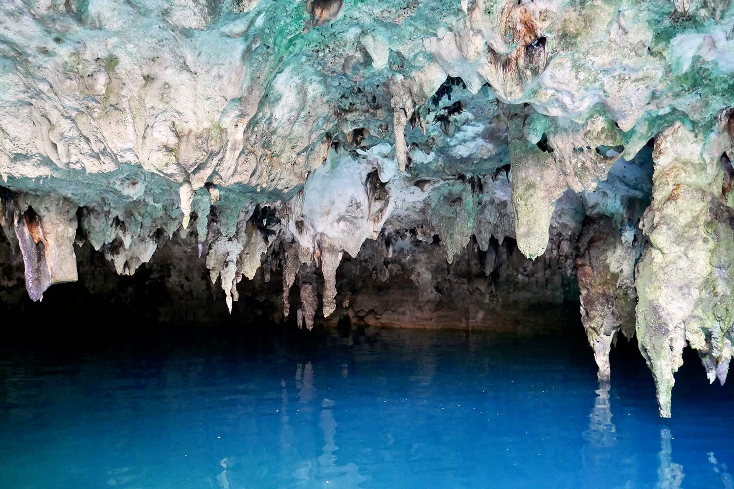 La Noria Cenote