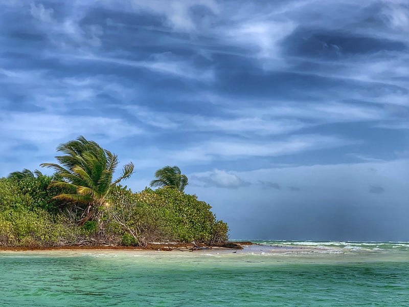 punta pajaros beach