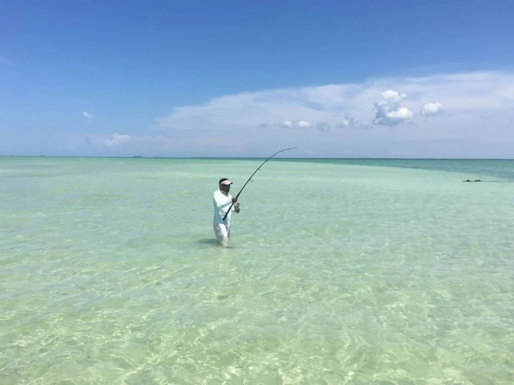 Where to fly fish in the Riviera Maya