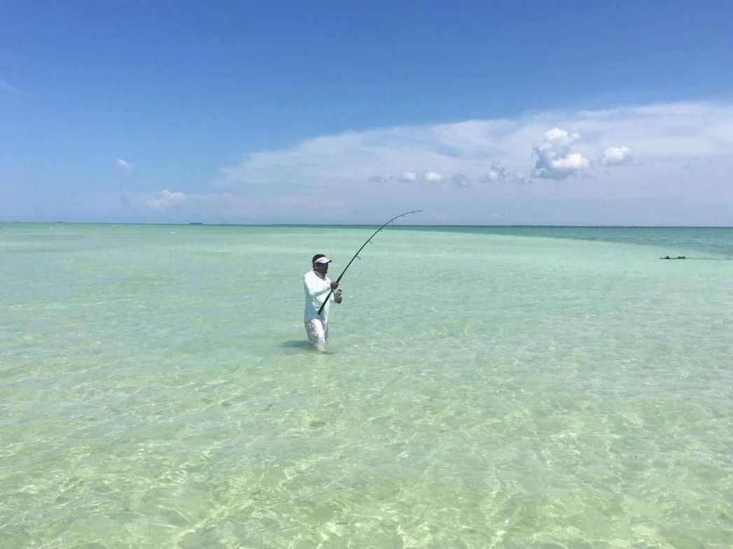 fly fishing riviera maya