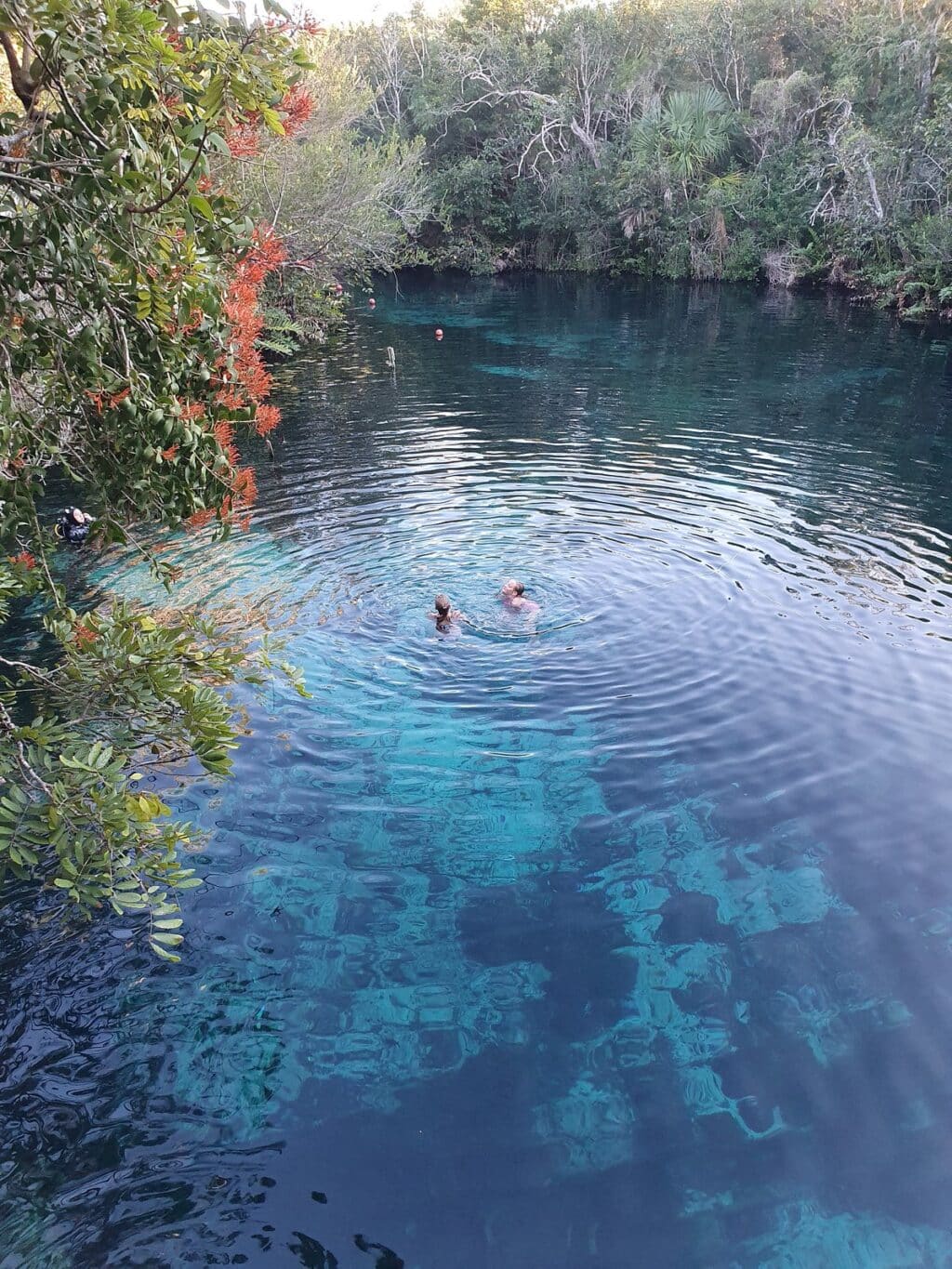 Best Cenotes near Tulum