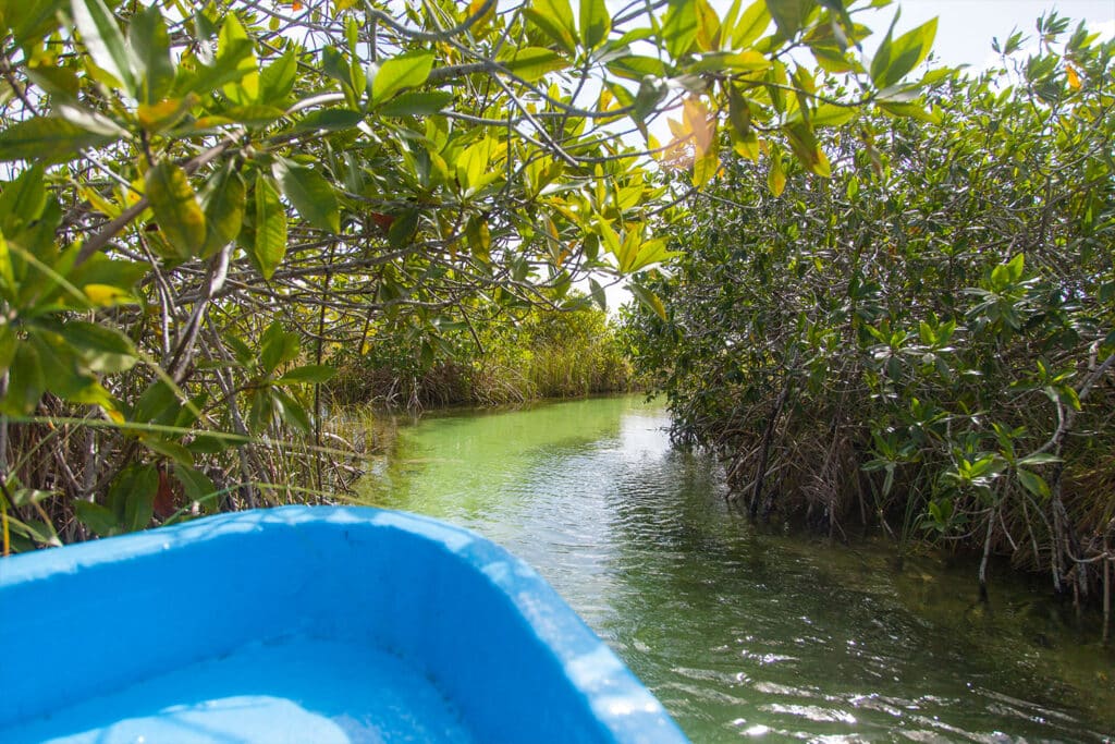The best rivers in Quintana Roo