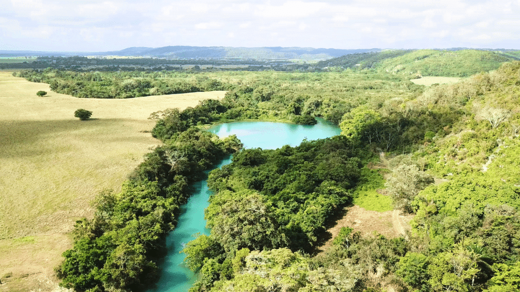The Cocodrilo Dorado Cenote