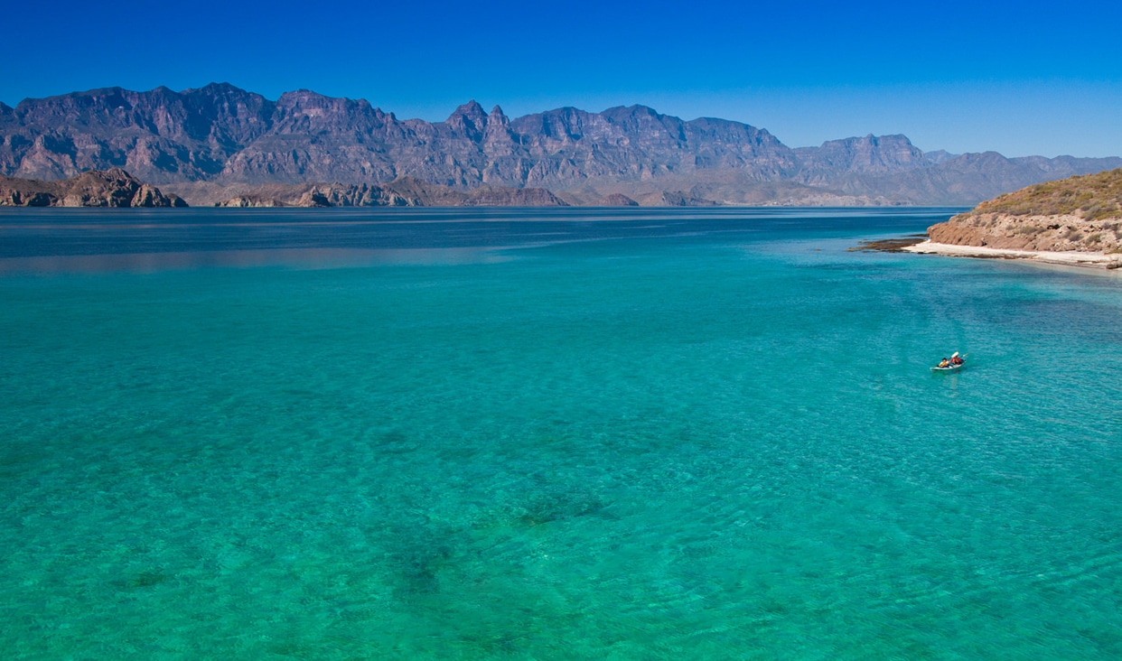 The Sea of Cortez