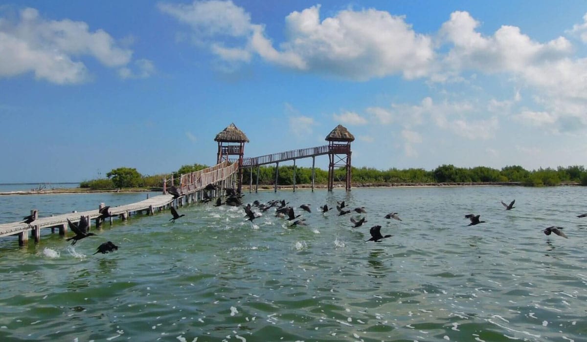 Nature reserves near Holbox