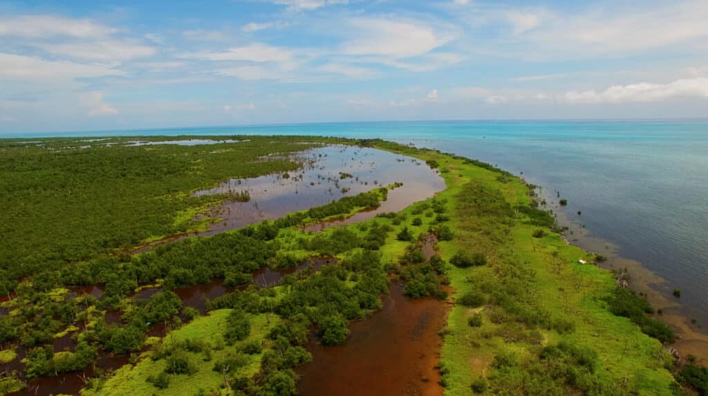 A visit to Chinchorro