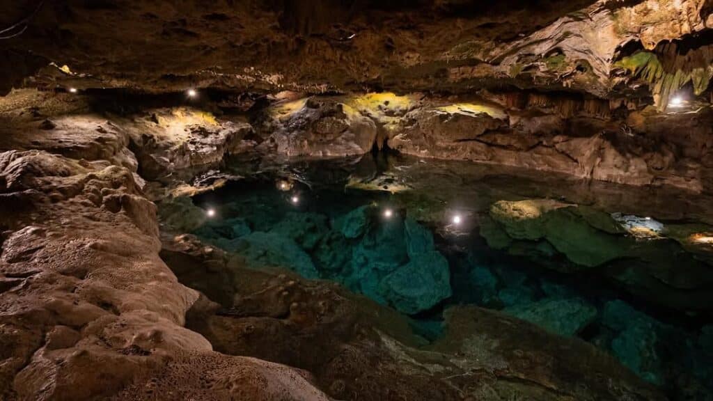 Night Snorkeling in San Ignacio Cenote