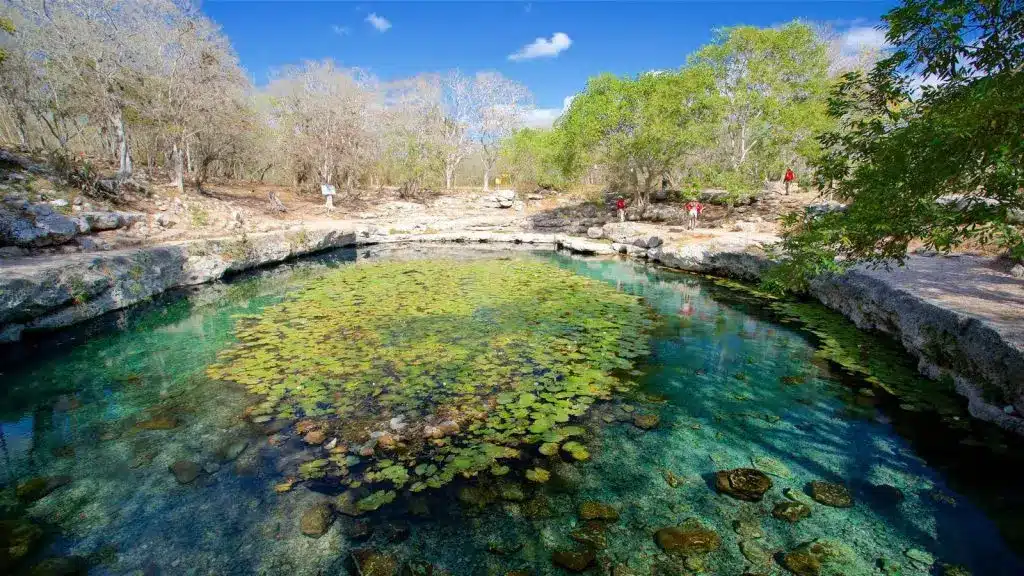 Xlacah Cenote Near Mérida