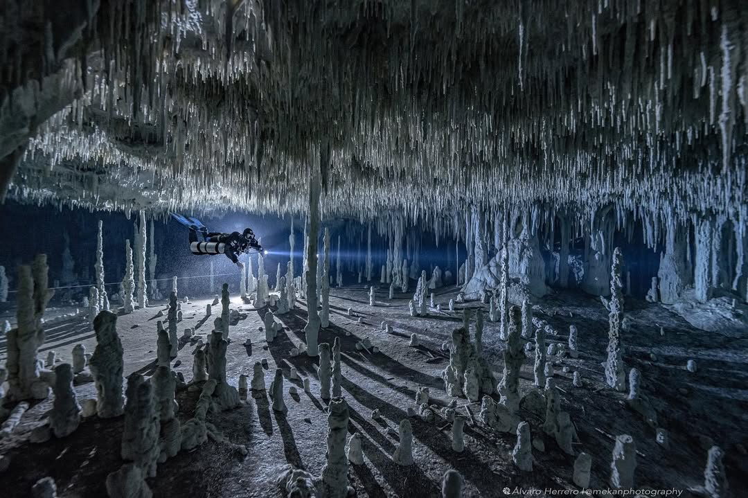 Xulo Cenote near Tulum