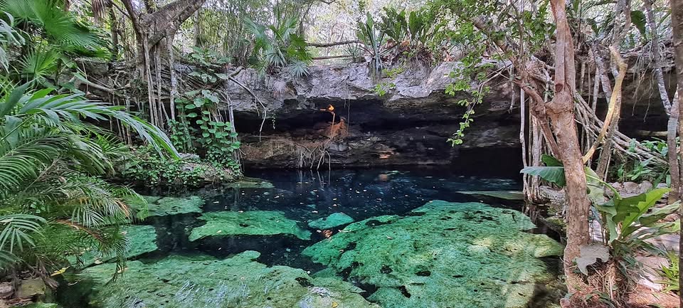 Los Búhos Cenotes Near Playa del Carmen