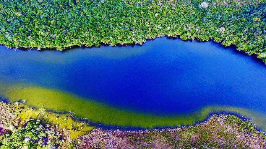 The Chichankanab Lagoon is Worth the Drive