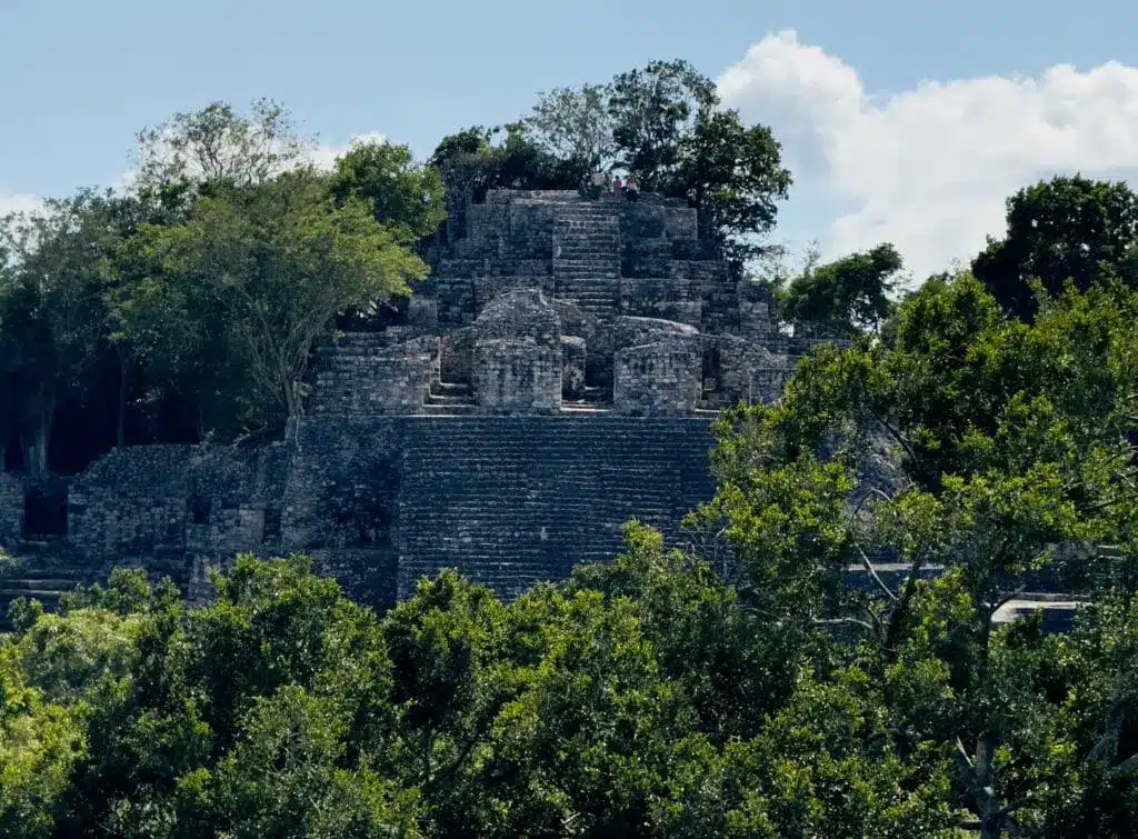 The Calakmul Zone